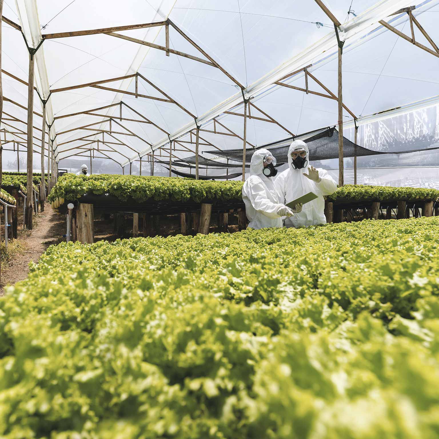 Strategy Agriculture McKinsey & Company